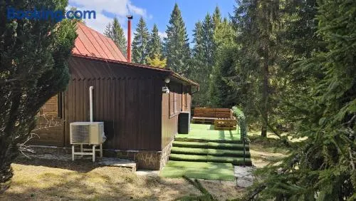 Chata Bambi, Tatranská Štrba pri zubačke - Image 1