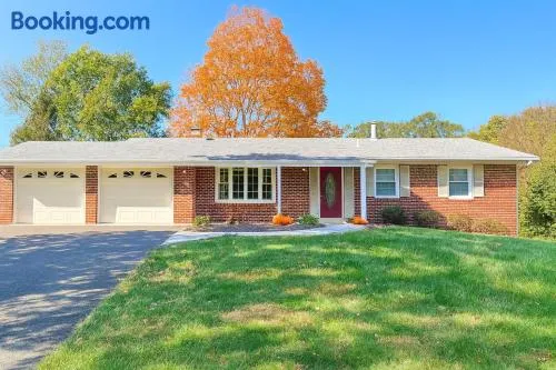 Relish in Rockville Rambler - Image 1