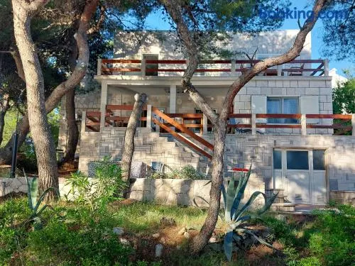 Beach House Albertina - Image 1