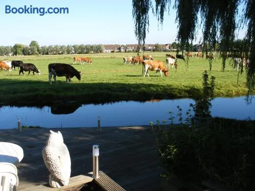 B&B-Edam - Image 1