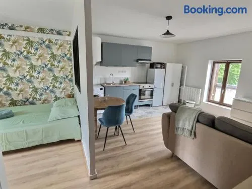 T2 cosy proche Rivieres à 20 mn de Disney ideal pour famille et professionnels - Image 1