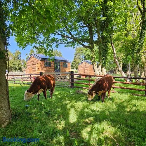 Woodland Shepherds Hut - 'Saga' - Image 1