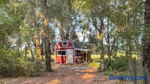 Tiny Barn at Windy Oaks - Image 1