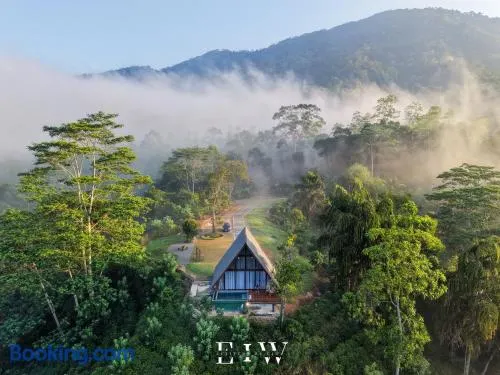 8 Acres Tea Escape - Image 1