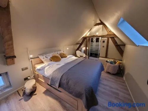 Natuurschoon Vakantiewoning Moorsel - Image 1