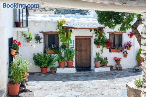El Gato Negro - Image 1