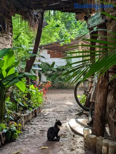 Backyard Eco Bungalows Moshi - Image 1