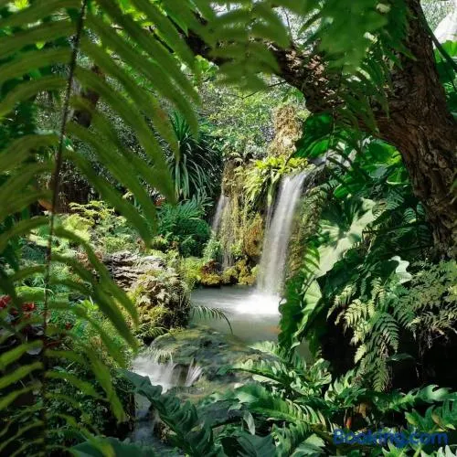 Natural Place - Image 1
