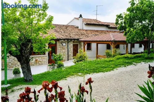 Agriturismo Corte Maccini - Image 1
