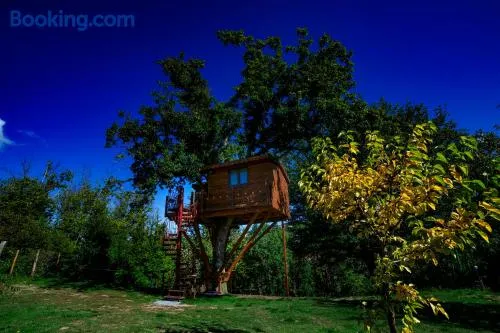 Casa sull'albero Bocchineri - Image 1