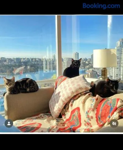 Cat-stle In The Sky - Image 1