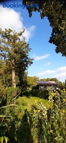 Bungalow Idylle Am See - Image 1