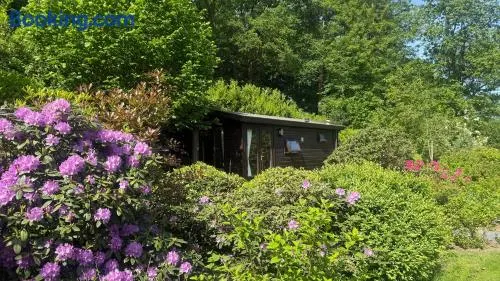 Chalet Kip & Geit incl Sauna & Jacuzzi - Image 1