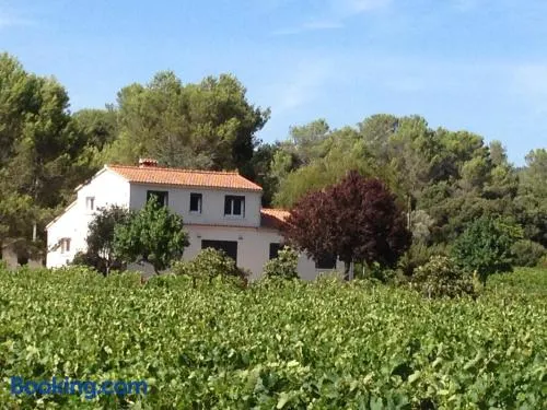 Maison Loubiere - Image 1