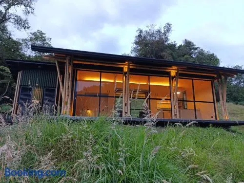 Glamping Bosque de helechos, privacidad y cercanía - Image 1