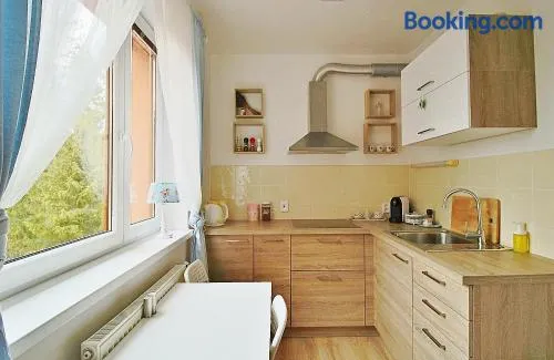 Jediný apartmán Tatranská Štrba - Image 1