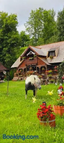 Pensiunea Rustic Oncesti - Image 1