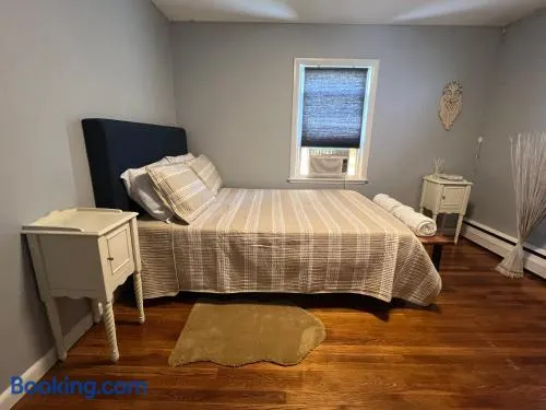 Peaceful 1BR easy commute, urban suburban mix feel in Boston - Image 1