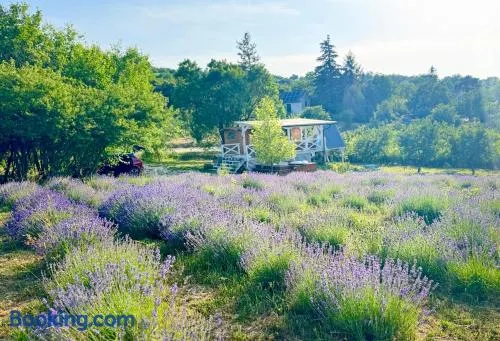 Vulcan eco lodge retreat - Image 1