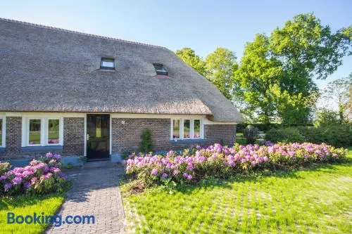 Juffertje in het groen - Image 1