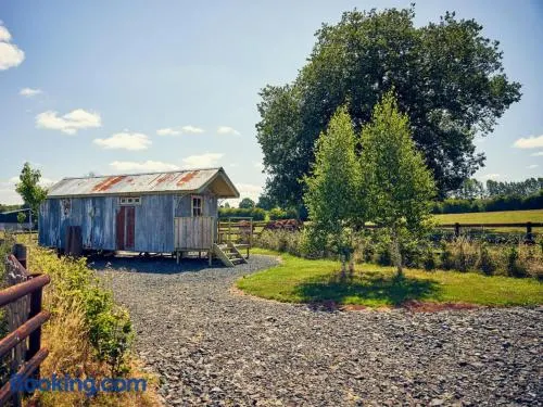 1 Bed in Ledbury oc-91599 - Image 1