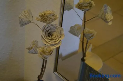 Windrose - Image 1