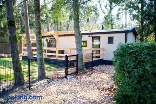Chalet Woef op de Veluwe - Image 1