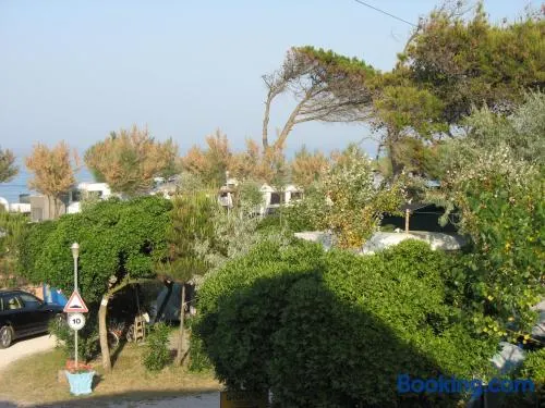 Camping La Pineta - Image 1