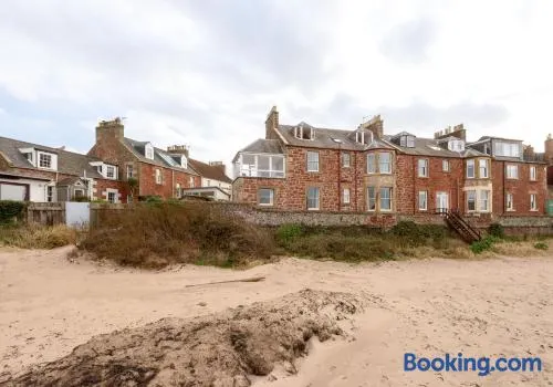 Sandy Neuk - Image 1