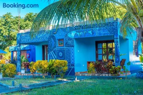 Ayira Casa Azul - Image 1