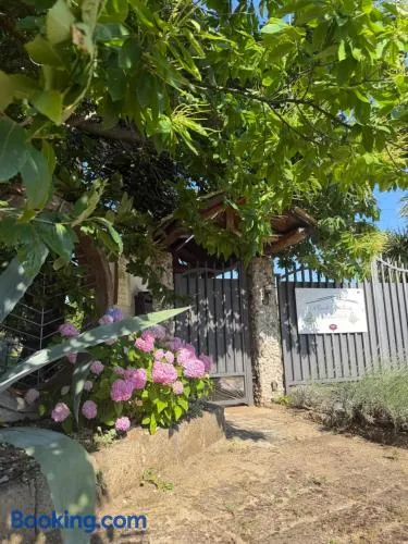 A Casa di nonna Emilia - Image 1