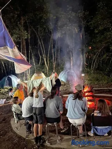 BÃI CẮM TRẠI THÔNG NÀNG VQG BẠCH MÃ by CONNECT TRAVEL - Image 1