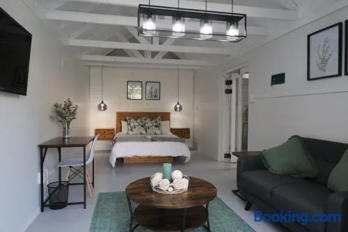 64 On Forest - Image 1