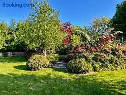 The Conifers Studio Apartment With Private Garden - Image 1