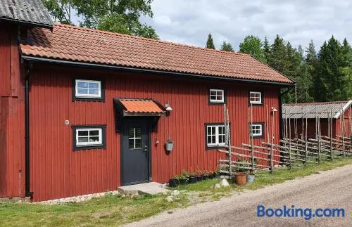 Boende på gård i Kolmårdens skogar - Image 1