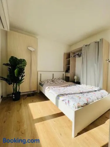 Super appartement au centre ville de Nogent Sur Marne - Image 1