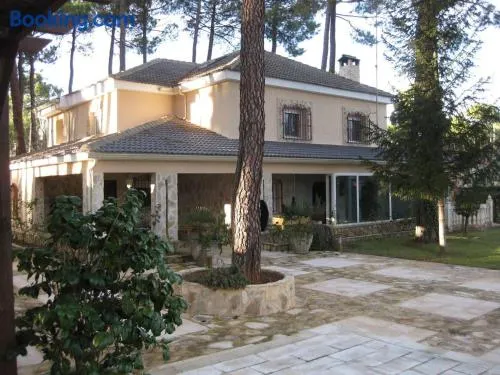 El Chalet del Pinar - Image 1