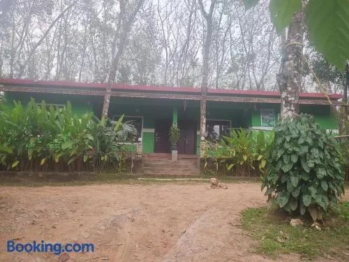 Green wayanad homestay - Image 1
