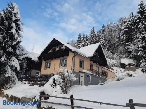 Haus Pinter in Schladming - Dachstein Region - Image 1