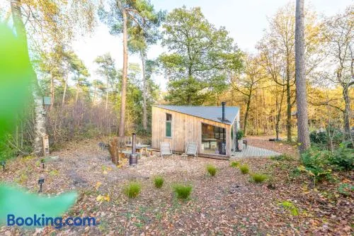 Tiny House Twente - Image 1