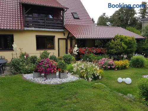 Ferienwohnung Auszeit Bad Belzig Näthe - Image 1