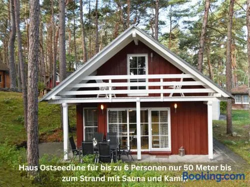 Ferienhaus Ostseedüne nur ca 100 Meter bis zum Strand - Image 1