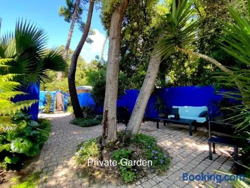 Studio with beautiful private garden on the forest in Domino - Image 1