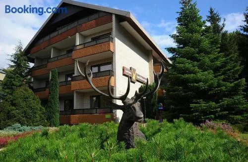 Hotel Zum Goldenen Hirsch - Image 1