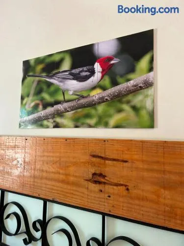Vila albino - Image 1