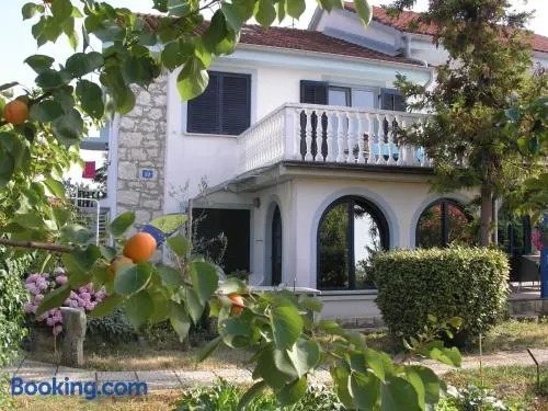 City center Lavanda - Image 1