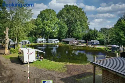 Het Denneke - Image 1
