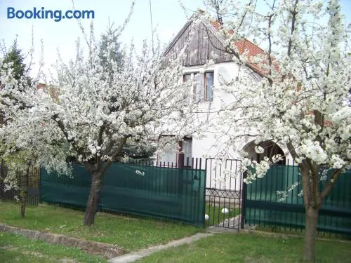 Nefelejcs Apartman - Image 1
