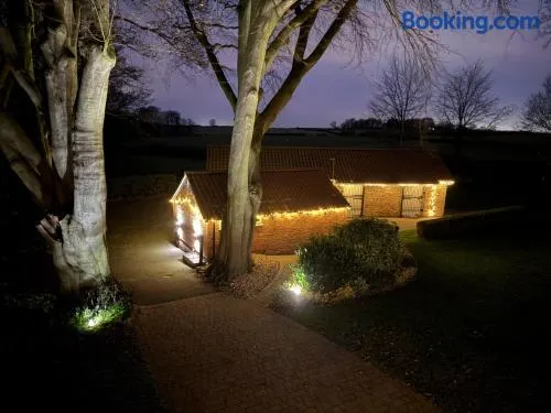 Crossways Beech Tree - Image 1