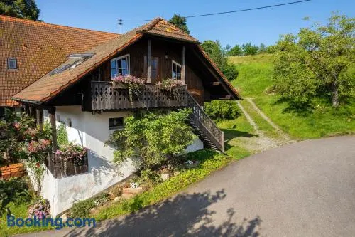 Schwarzwald Buchenhof - Image 1